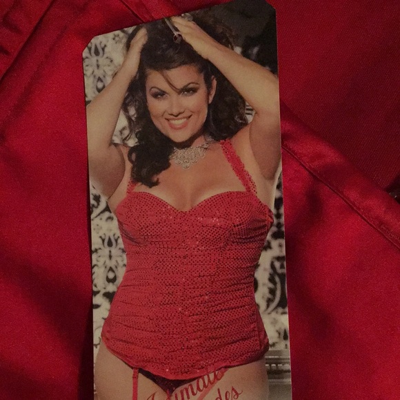 Shimmer And Sparkle Sequin Corset (X25988) - Picture 1 of 7